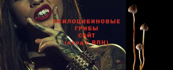 spice Арсеньев