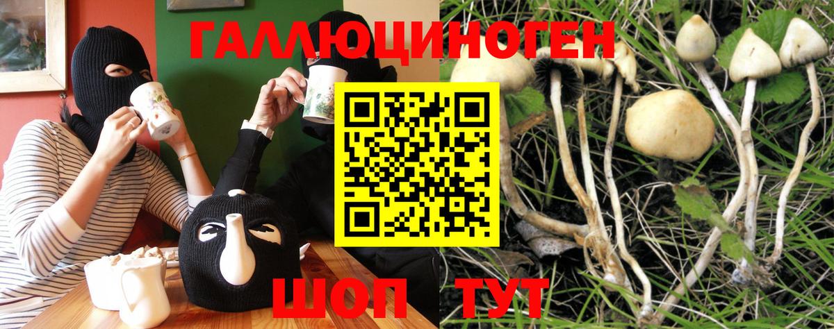 Галлюциногенные грибы GOLDEN TEACHER Асбест