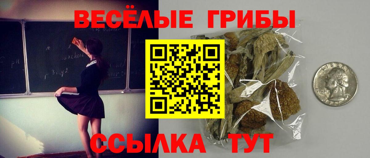 Галлюциногенные грибы Cubensis  Вход с VPN  Асбест 